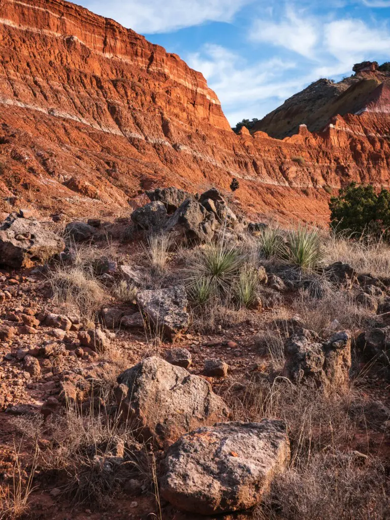 West Texas Landscape Palo Duro Canyon