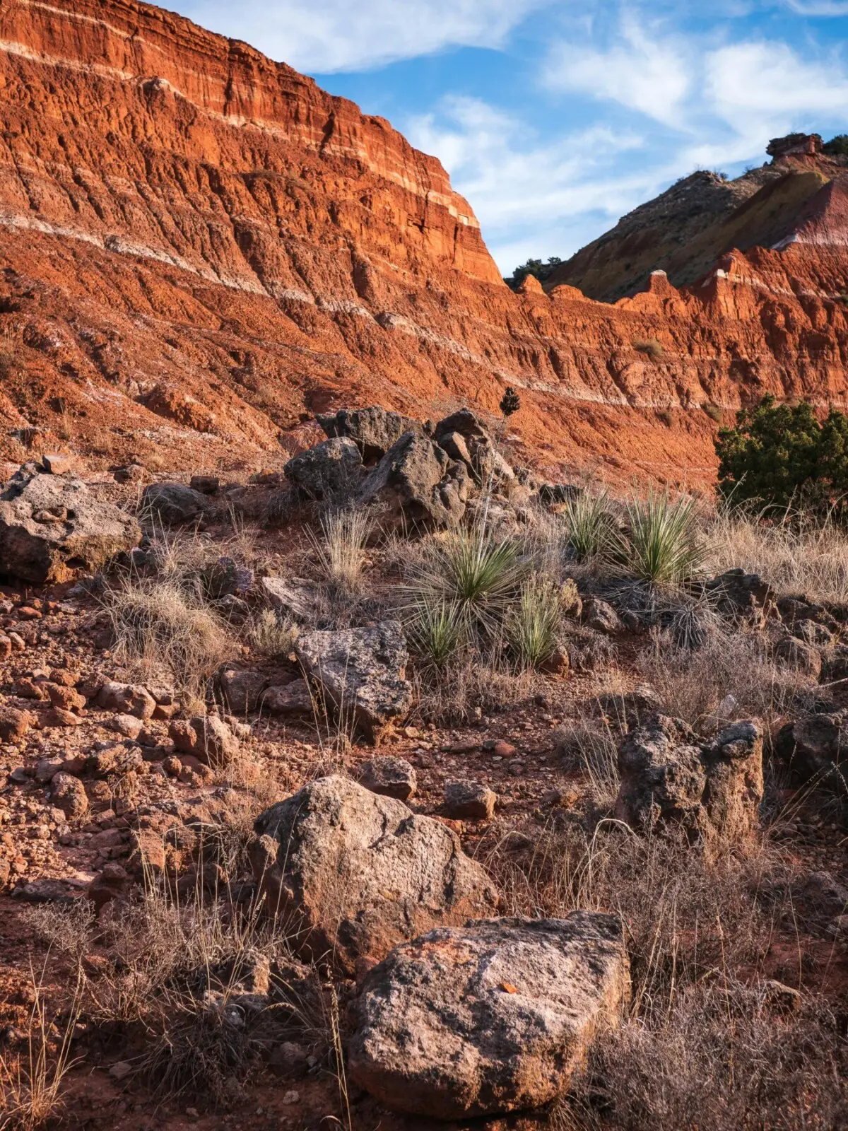 West Texas Landscape Palo Duro Canyon